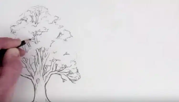 dessiner un arbre